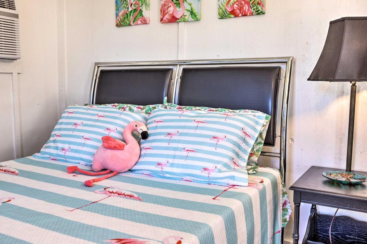 Flirty Flamingo Studio 1 Mi To بحيرة كانيون المظهر الخارجي الصورة